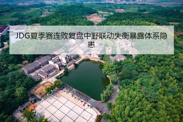 JDG夏季赛连败复盘中野联动失衡暴露体系隐患